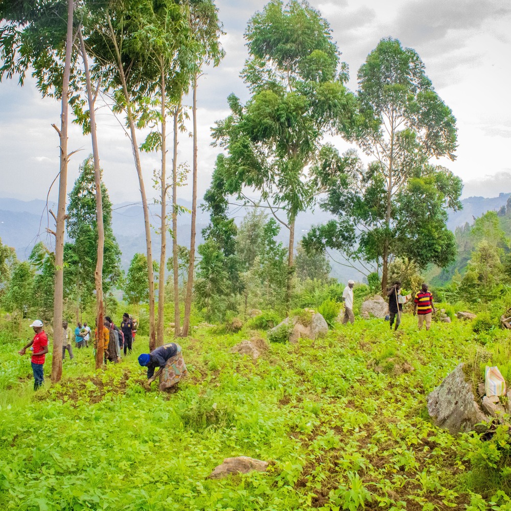 Burundi